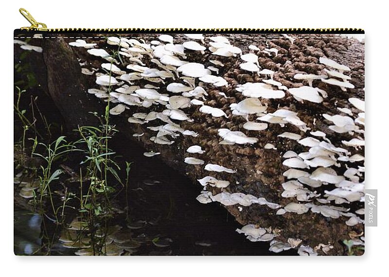 Oyster Mushrooms And Reflections Zip Pouch featuring the photograph Oyster Mushrooms and Reflections by Warren Thompson