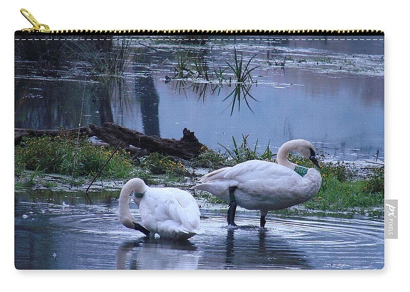 Birds Zip Pouch featuring the photograph Boxley Valley Swans by Mary Halpin