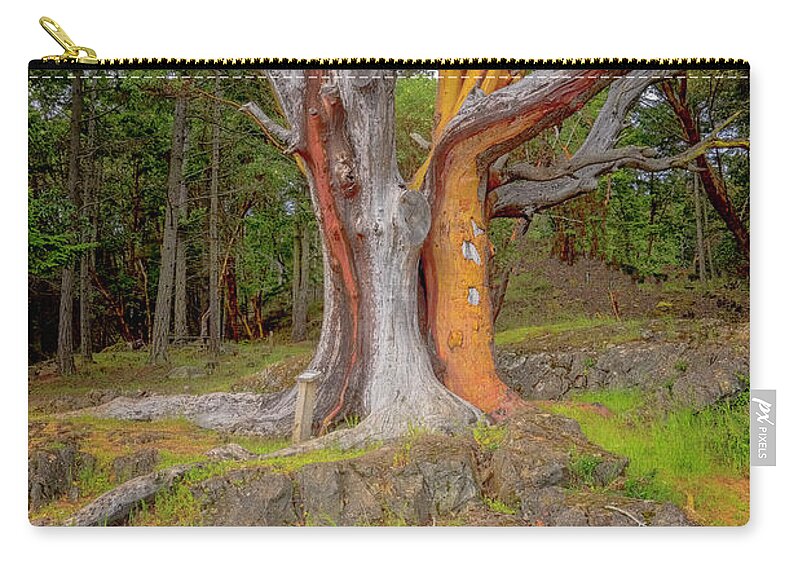 Oregon Coast Carry-all Pouch featuring the photograph Pacific Madrone Tree by Tom Singleton