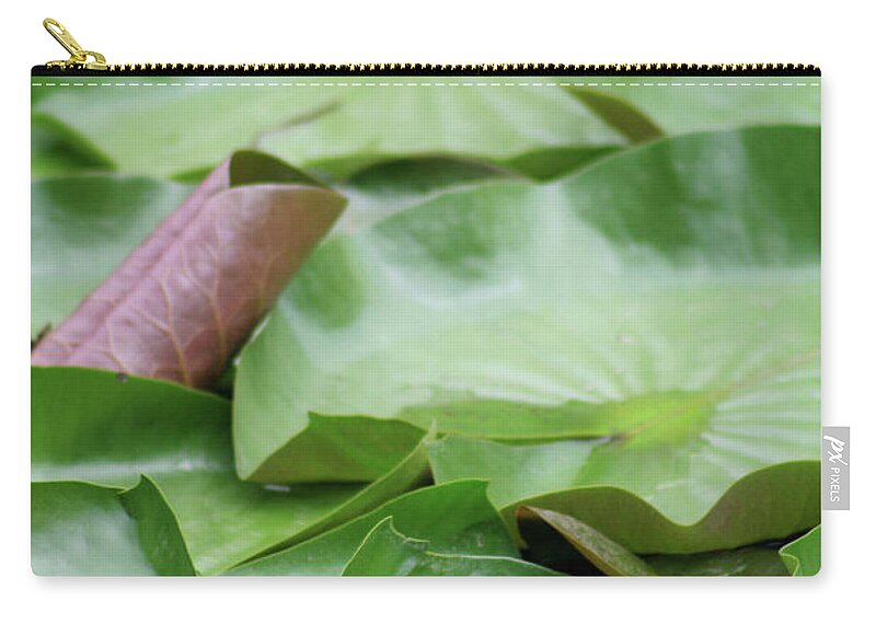 Lily Pad Zip Pouch featuring the photograph Pad Podium by Mary Anne Delgado