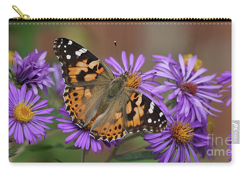 Painted Lady Zip Pouch featuring the photograph Painted Lady Butterfly and Aster Flowers 6x3 by Robert E Alter Reflections of Infinity