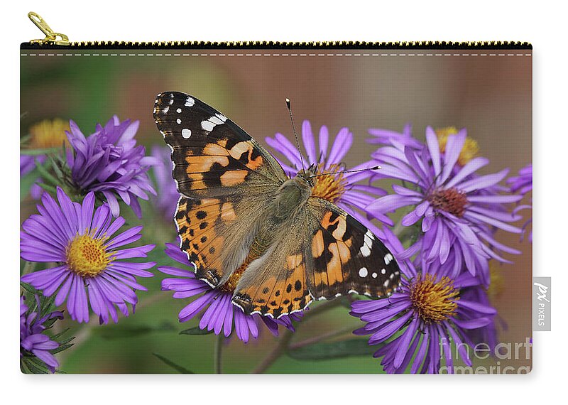 Painted Lady Zip Pouch featuring the photograph Painted Lady Butterfly and Aster Flowers by Robert E Alter Reflections of Infinity
