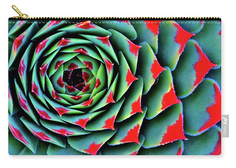 Red Tipped Succulent Zip Pouch featuring the photograph Painted Lady In Red by William Rockwell