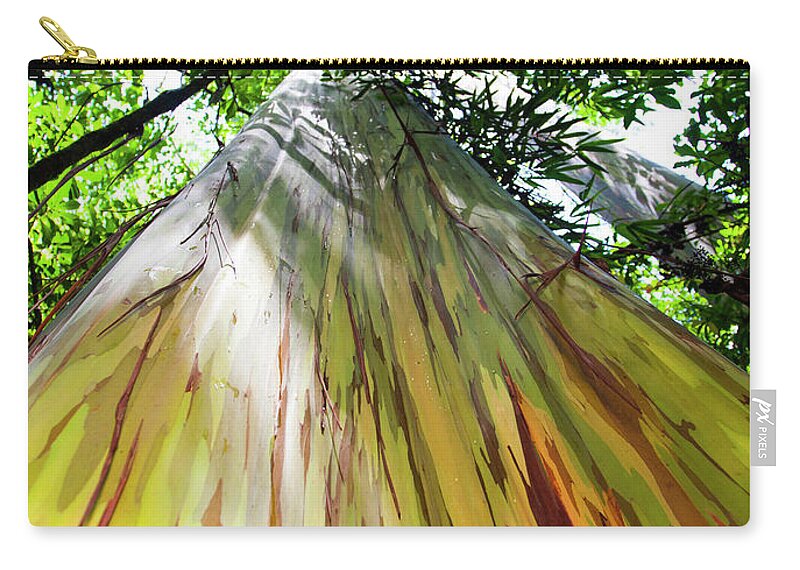 Painted Eucalyptus Tree Zip Pouch featuring the photograph Painted Tree by Anthony Jones