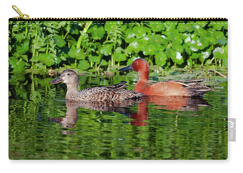 Mark Miller Photos Zip Pouch featuring the photograph Pair of Cinnamon Teals by Mark Miller