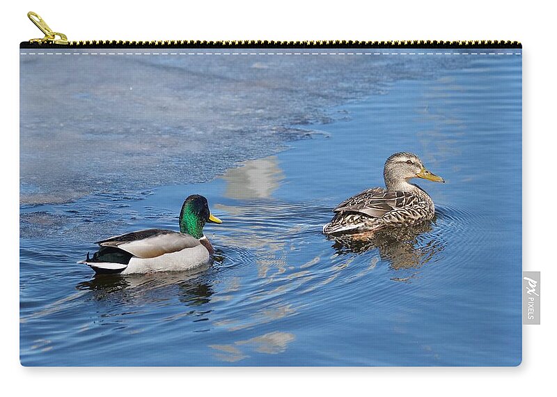 Duck Zip Pouch featuring the photograph Pair of Mallard Ducks inThunder Bay by Michael Peychich