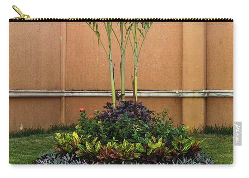  Zip Pouch featuring the photograph Palm Tree Garden by James Gay