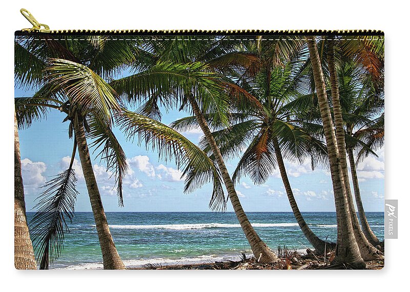  Carry-all Pouch featuring the photograph Palm Walk by Robert Och