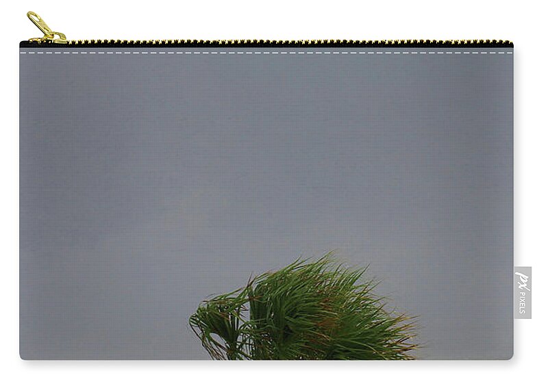 Nature Zip Pouch featuring the photograph Palmetto Persistence by Skip Willits