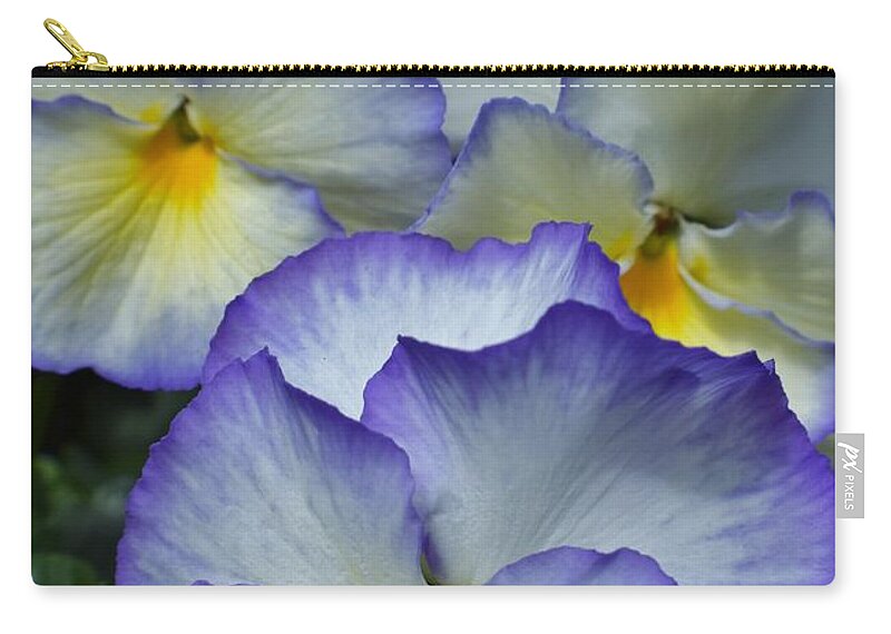 Pansies Zip Pouch featuring the photograph Pansies by Jimmy Chuck Smith
