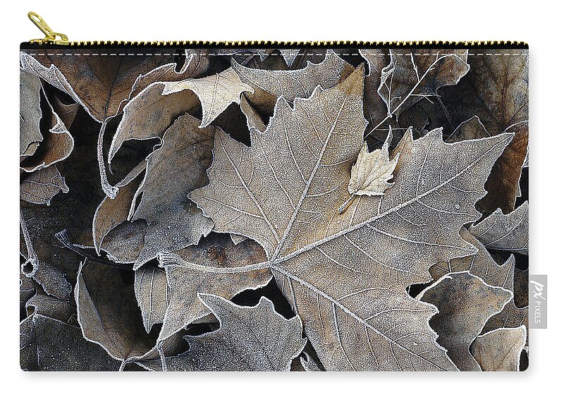 Maple Zip Pouch featuring the photograph Parental by DArcy Evans
