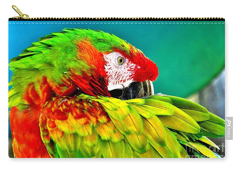 Parrot Time Zip Pouch featuring the photograph Parrot Time 2 by Lisa Renee Ludlum