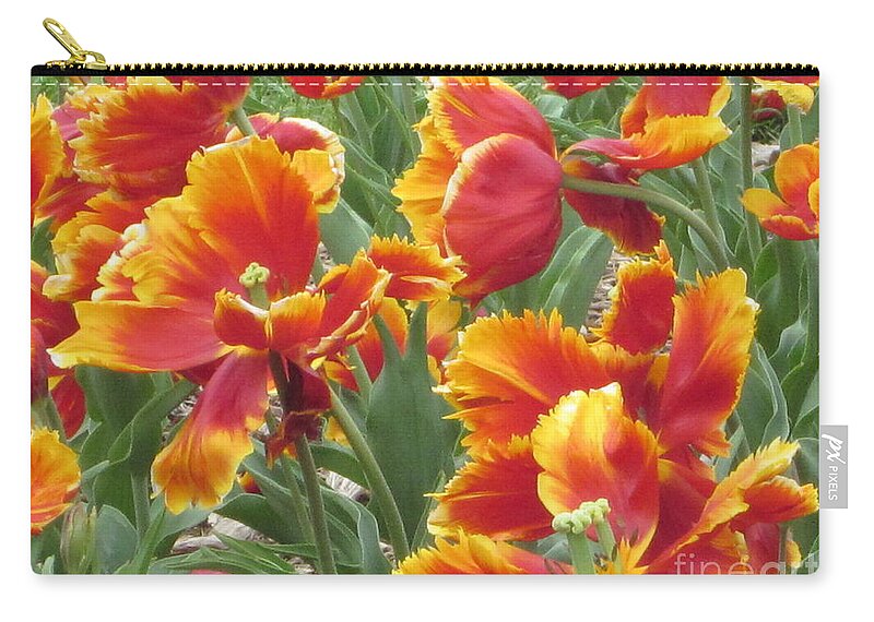 Photography Zip Pouch featuring the photograph Parrot Tulips by Kathie Chicoine