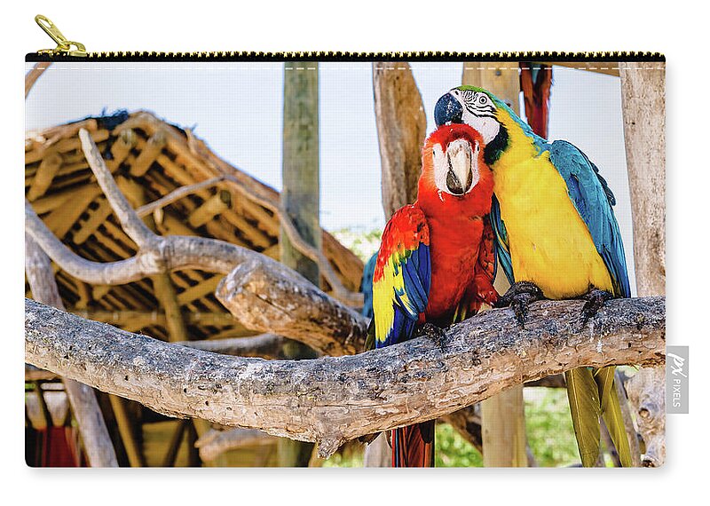 Parrots Zip Pouch featuring the photograph Parrots Colombia by Victor Hugo
