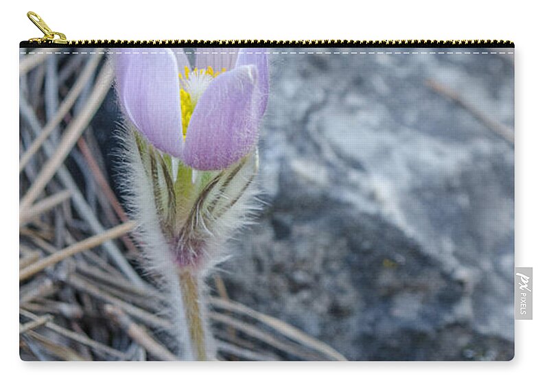 Pasqueflower Zip Pouch featuring the photograph Pasque on the Rocks by Greni Graph