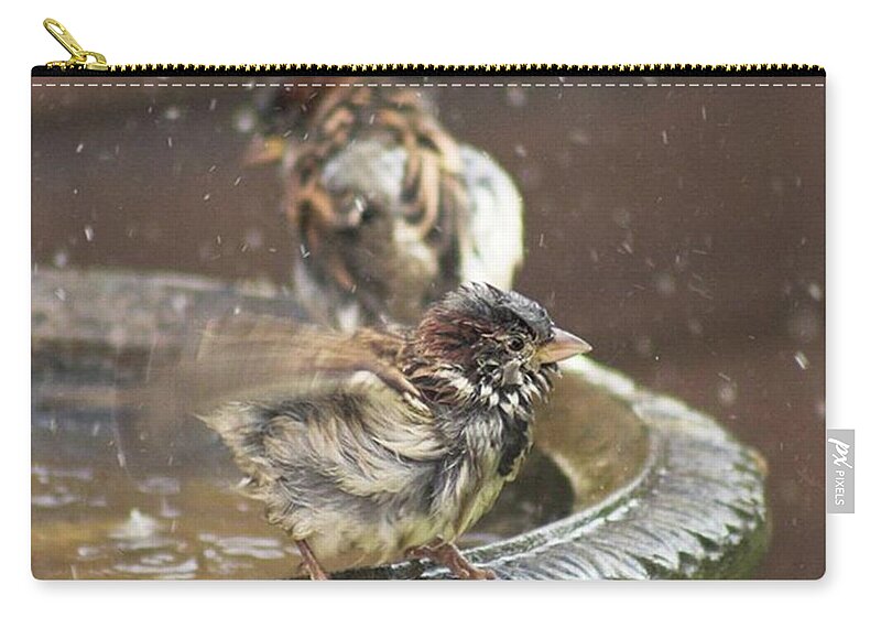 Nature Carry-all Pouch featuring the photograph Pass The Towel Please: A House Sparrow by John Edwards