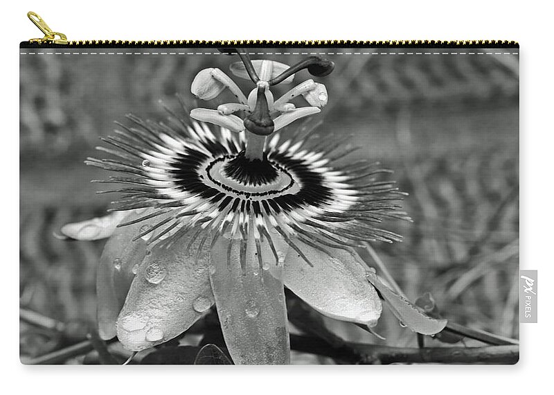 Passion Flower Zip Pouch featuring the photograph Passion Flower and Raindrops by Jeff Townsend