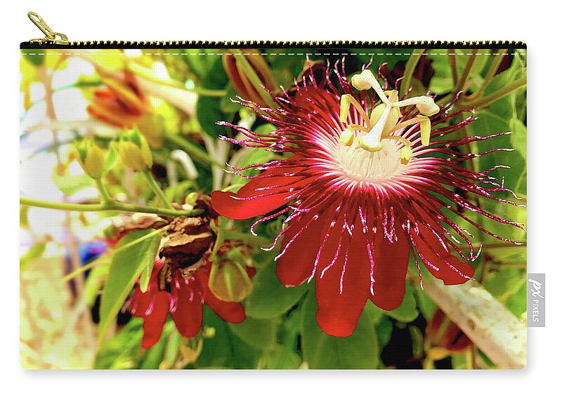 Passion Flower Zip Pouch featuring the photograph Passion in Red by Alan Lakin