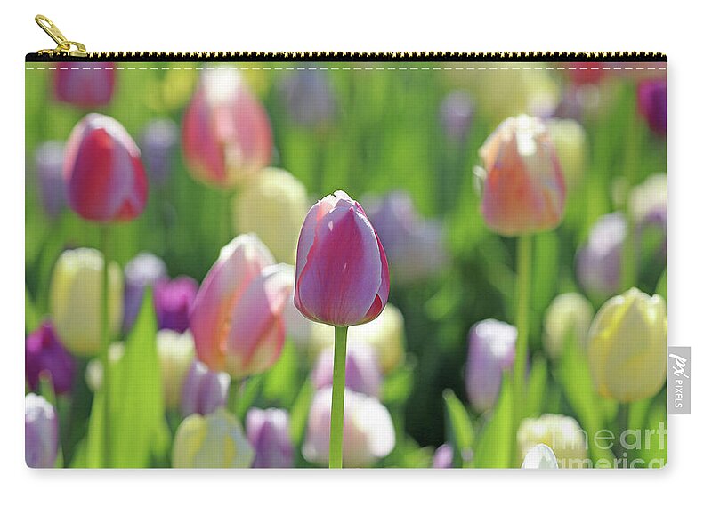 Tulips Zip Pouch featuring the photograph Pastel Beauty 0478 by Jack Schultz