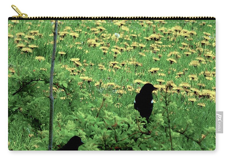 Pastoral Setting Zip Pouch featuring the photograph Pastoral Red Winged Blackbirds by Leslie Montgomery