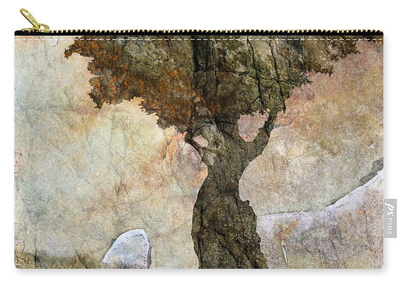 Tree Zip Pouch featuring the photograph Pastoria - Year of the Dragon by Ed Hall