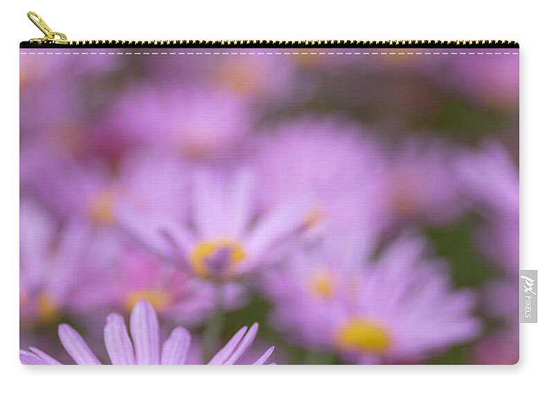 Daisy Carry-all Pouch featuring the photograph Patch of Daisys by Kathy Paynter