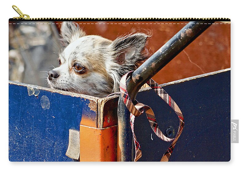 Amsterdam Zip Pouch featuring the photograph Patiently Waiting by Michael Cinnamond