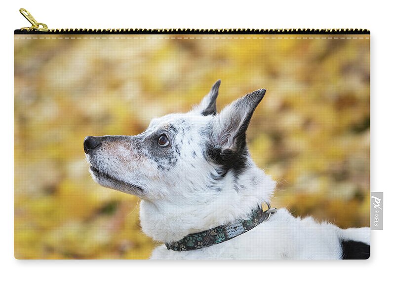 Bennu Zip Pouch featuring the photograph Patrick 6A by Rebecca Cozart
