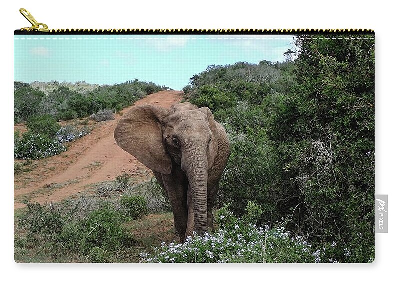 Elephant Zip Pouch featuring the photograph Pause to smell the flowers by Gaelyn Olmsted