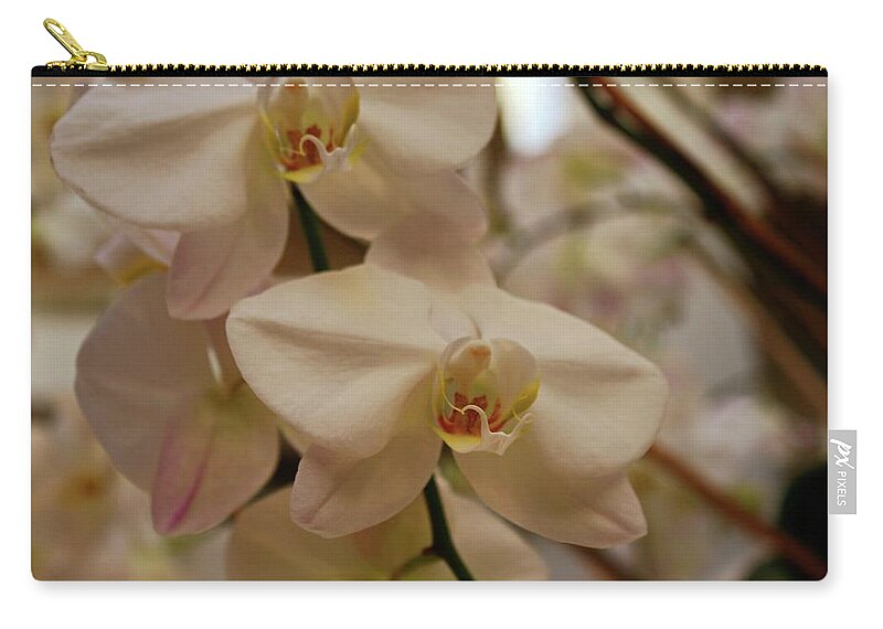 Orchid Zip Pouch featuring the photograph Peabody Orchid I by Michiale Schneider