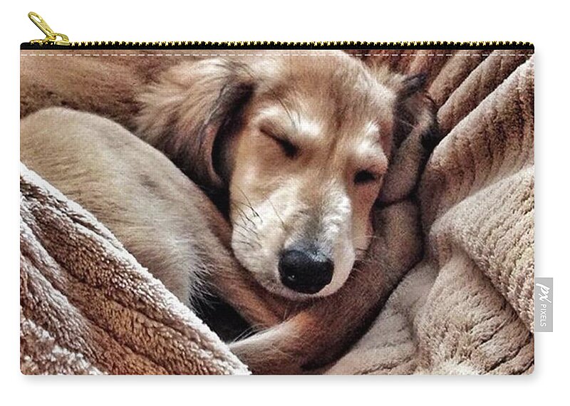 Persiangreyhound Zip Pouch featuring the photograph Peace At Last
#saluki by John Edwards