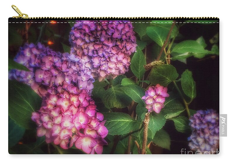 Hydrangeas Zip Pouch featuring the photograph Peace Garden - Purple Hydrangeas by Miriam Danar
