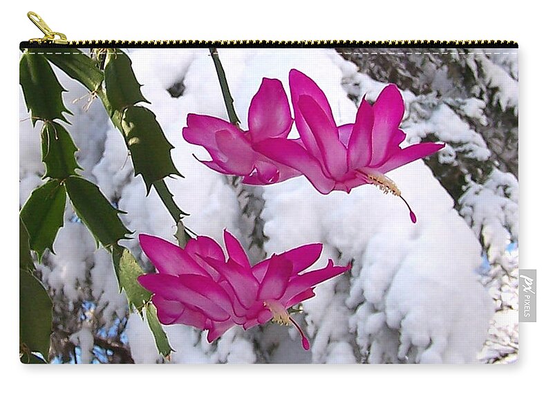 Cactus Zip Pouch featuring the photograph Peace by Steven Huszar