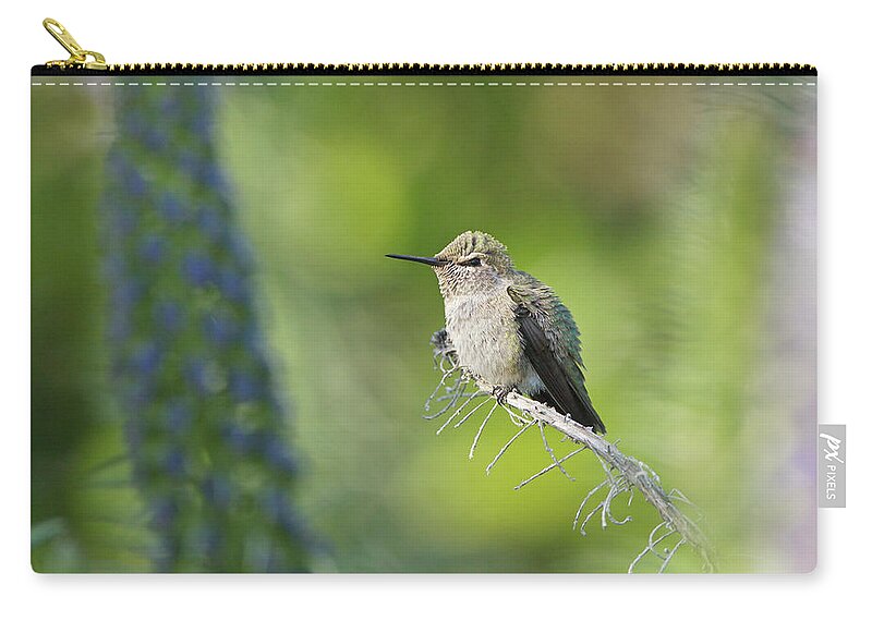 Hummingbird Zip Pouch featuring the photograph Peaceful Hummingbird by Susan Gary