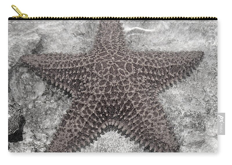 Starfish Zip Pouch featuring the photograph Peaceful Quiet by Betsy Knapp