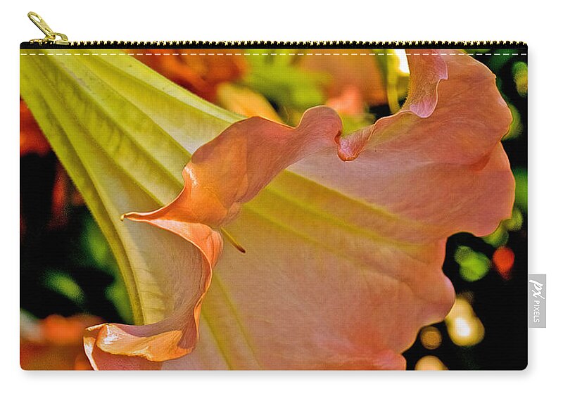 Peach Angel's Trumpetr At Pilgrim Place In Claremont Zip Pouch featuring the photograph Peach Angel's Trumpet at Pilgrim Place in Claremont-California by Ruth Hager
