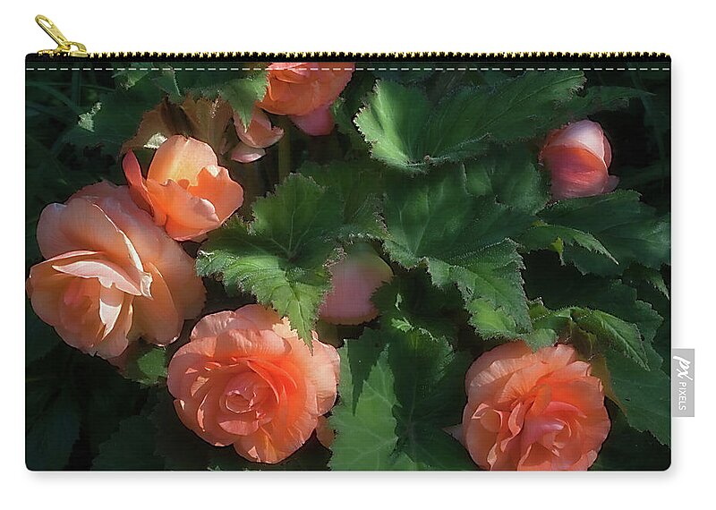 Flower Zip Pouch featuring the photograph Peach Begonia by Ann Jacobson