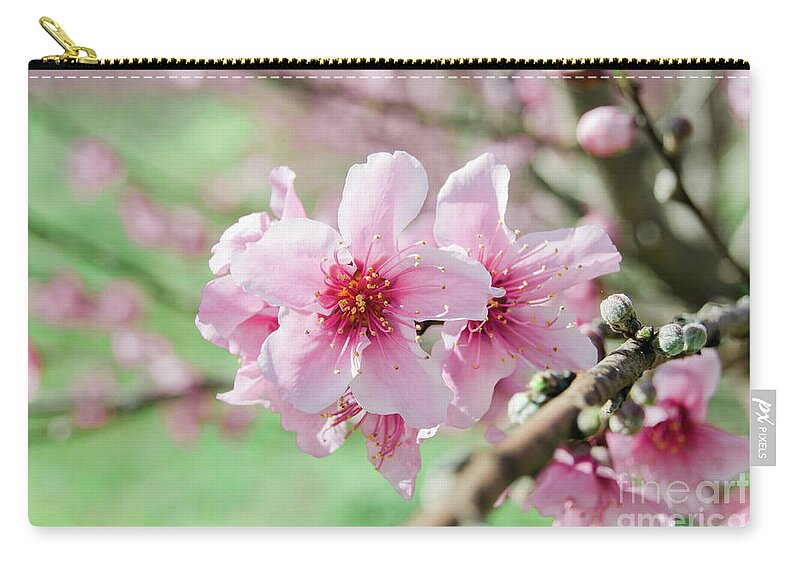 Sakura Zip Pouch featuring the photograph Peach Blossoms 15 by Andrea Anderegg