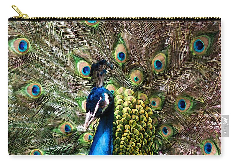 Peacock Zip Pouch featuring the photograph Peacock Extravaganza by Barbara McMahon