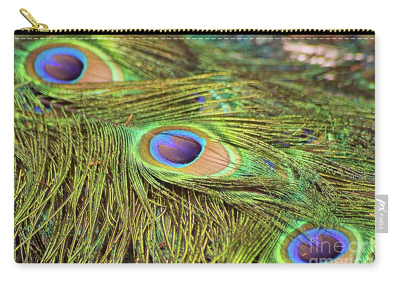 Bird Zip Pouch featuring the photograph Peacock Feathers by Kimberly Blom-Roemer
