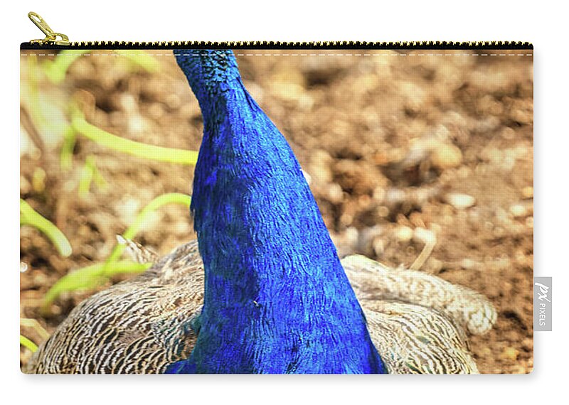 Male Zip Pouch featuring the photograph Peacock Profile by Robert Bales