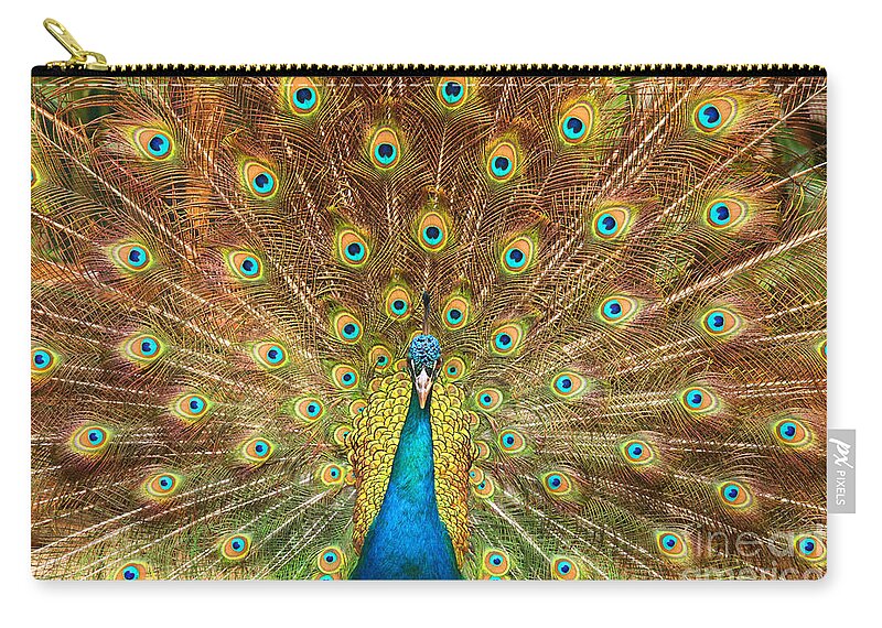Animal Zip Pouch featuring the photograph Peacock showing its feathers XL by Patricia Hofmeester