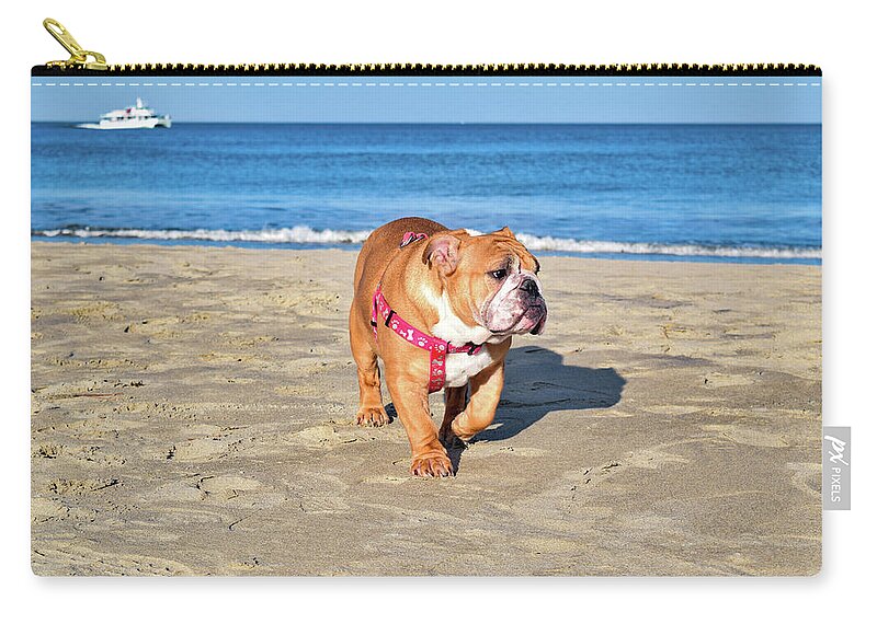 Ocean Carry-all Pouch featuring the photograph Peanut on the Beach by Nicole Lloyd