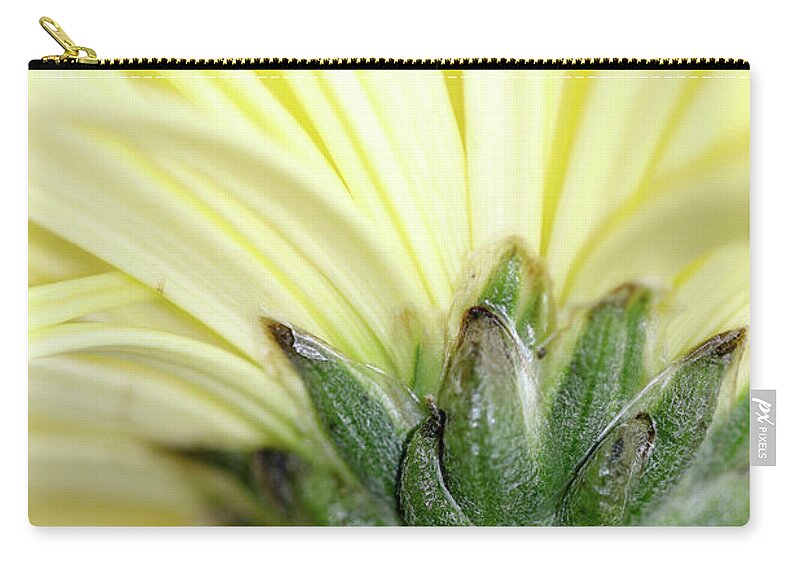 Flower Zip Pouch featuring the photograph Pedestal by Mary Anne Delgado
