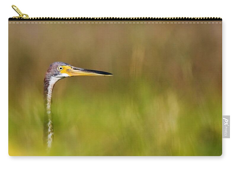 Heron Zip Pouch featuring the photograph Peek-a-boo Birdie by Bob Decker