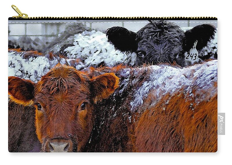 Heifers Carry-all Pouch featuring the photograph Peek a Boo Heifers by Amanda Smith