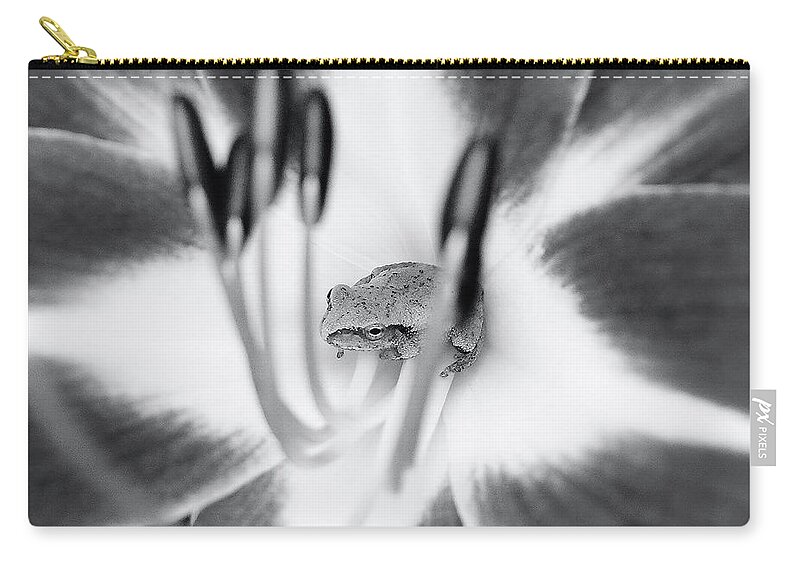 Copes Zip Pouch featuring the photograph Peek A Boo by Kathi Mirto