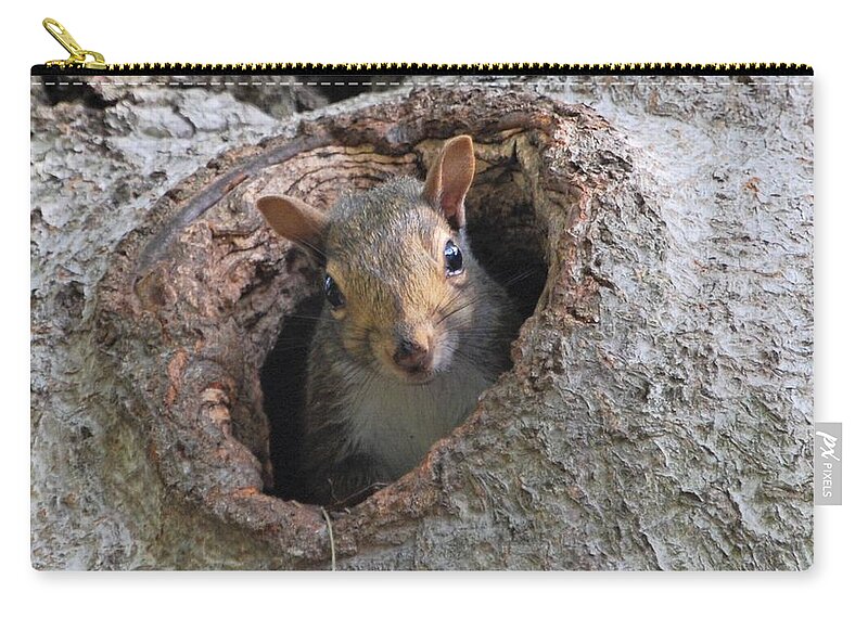 Squirrel Zip Pouch featuring the photograph Peek A Boo by Sonja Jones