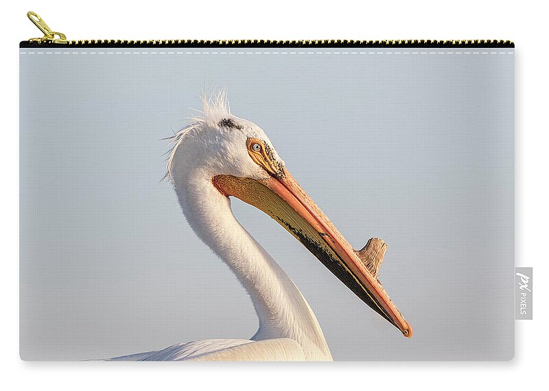American White Pelican Zip Pouch featuring the photograph Pelican 2017-2 by Thomas Young