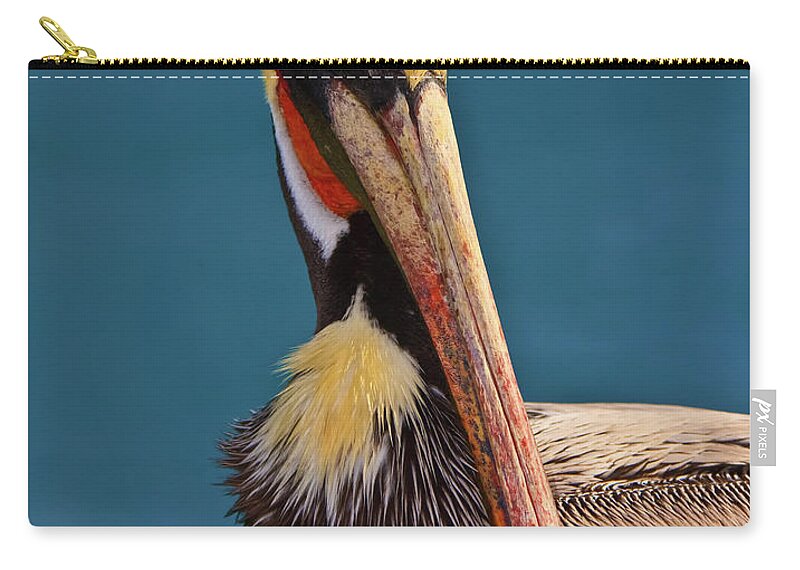 Pelican Carry-all Pouch featuring the photograph Pelican by Beth Sargent